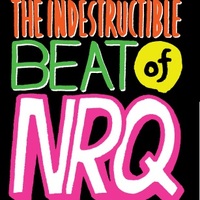 曽我部恵一リミックス「ノー・マンズ・ランド／アイ・ワズ・セッド」収録、NRQ『The Indestructible Beat of NRQ』11/21発売