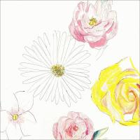 尾崎友直 3rdアルバム『メネ, メネ, テケル, ウ パルシン』LP＋CD、6/19に発売が決定いたしました！