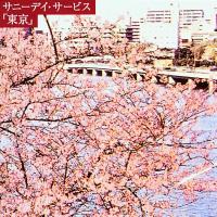 サニーデイ・サービス『東京』20周年を記念して、2008年に太田浩さんに書いていただいた『東京』のレビューの再掲載です。