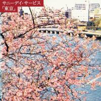 サニーデイ・サービス『東京』20周年を記念したBOX,CD,LP、本日店頭着日です。