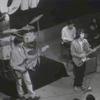 ＜SUNNY DAY SERVICE TOUR 2026＞2月28日よりスタート！本日よりサニーデイ・サービス4KリマスターMV第4弾、一挙5作品公開！！