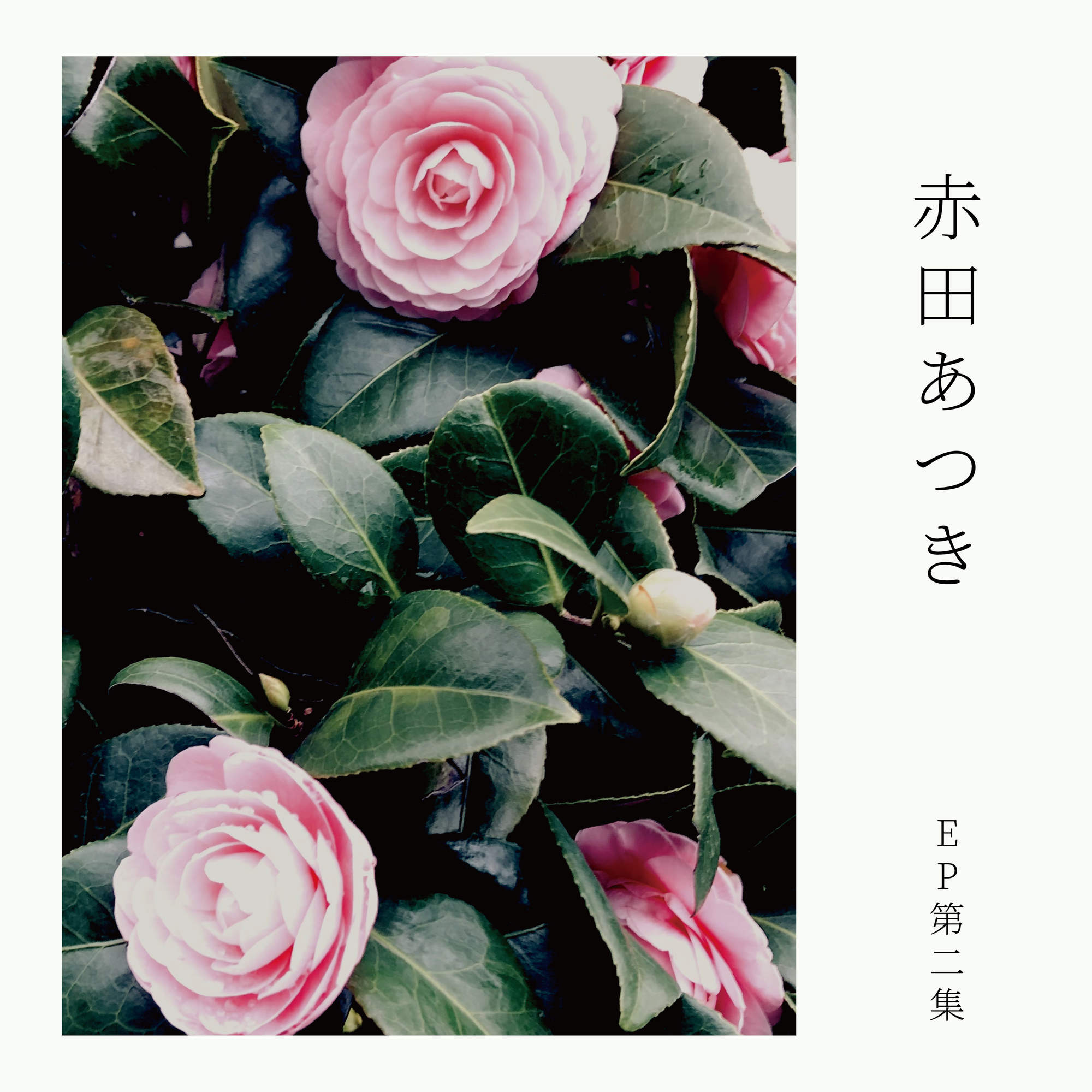 http://rose-records.jp/files/20230518185849.jpg